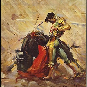 Mexico Bull Fight