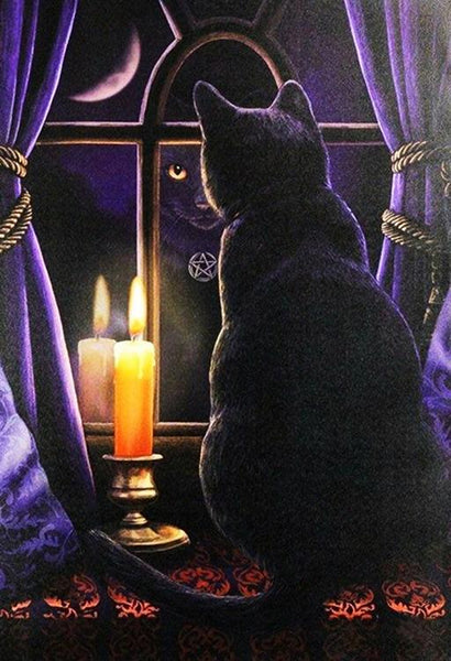 The Cat And A Candle Paint By Numbers