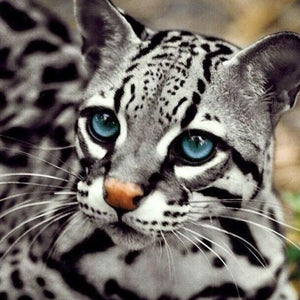 Ocelot Cat Paint by Diamonds