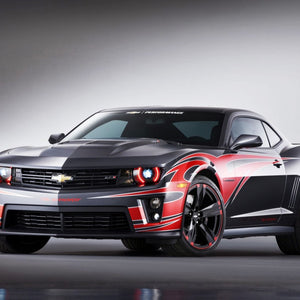 American Black Beast