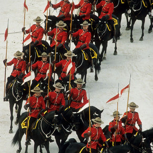 Soldier's Parade