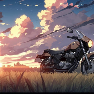 Lets Go on a Bike Trip