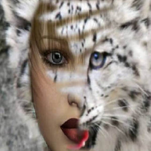 Abstract Girl Painting Kit