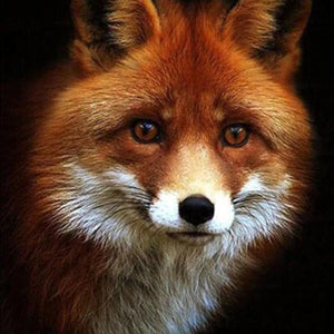 Adorable Red Fox Paint by Diamonds