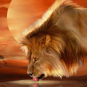 African Lion Paint by Diamonds