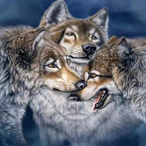 Alaskan Tundra wolves Paint by Diamonds