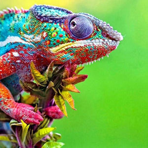 Amazing Chameleon Diamond Painting Kit