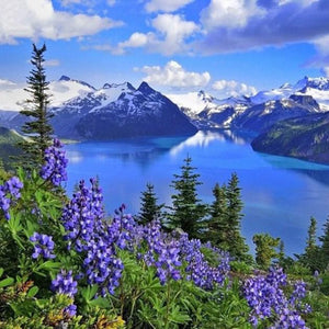 Amazing Mountains View & Blue Flowers Diamond Painting