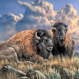 Bison Diamond Painting