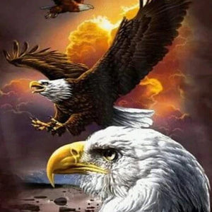 Angry Bald Eagle Diamond Painting Kit