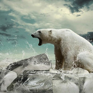 Angry Polar Bear Paint by Diamonds