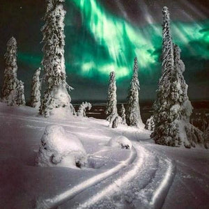 Aurora Snow Winter Paint by Diamonds