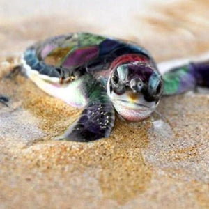 Baby Turtle Diamond Painting Kit