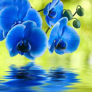 Beautiful Blue Orchids Paint by Diamonds