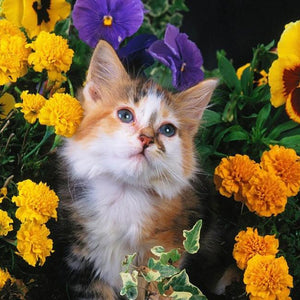 Beautiful Cat & Yellow Flowers Diamond Painting