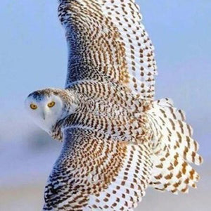 Beautiful Flying Snow Owl Diamond Painting
