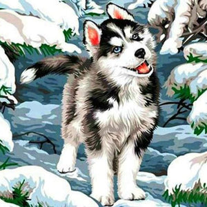 Beautiful Husky Diamond Painting Kit