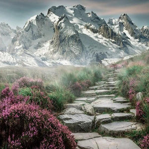 Beautiful Pathway to Mountains Diamond Painting