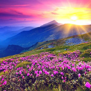 Beautiful Sunrise & Pink Flowers Diamond Painting