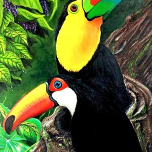 Toucan Pair Diamond Painting