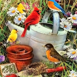 Birds Diamond Painting