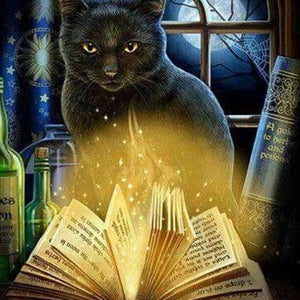 Black Cat & Magic Book Paint by Diamonds