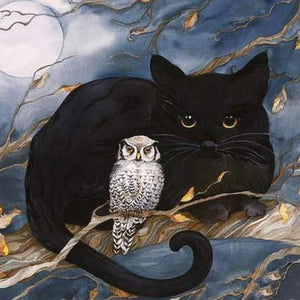 Black Cat & Owl Paint by Diamonds