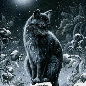 Black Cat Diamond Painting Kit