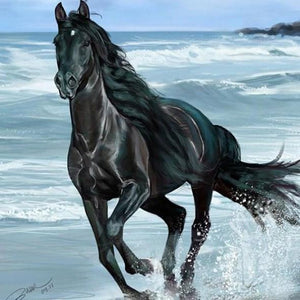 Black Horse Running in Water Diamond Painting