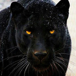 Black Panther Diamond Painting Kit