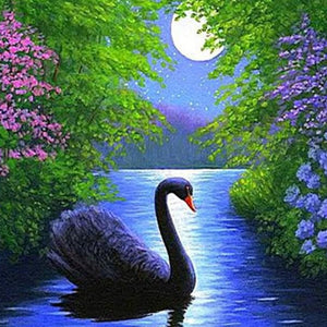 Black Swan in Water Diamond Painting
