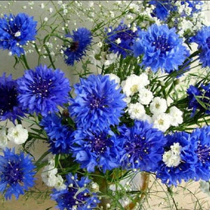 Flowers 5D Diamond Art Kit