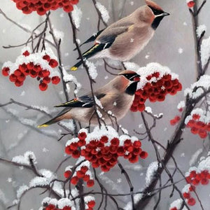 Bohemian waxwing Paint by Diamonds