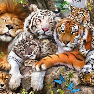 Big Cats Paint by Diamonds