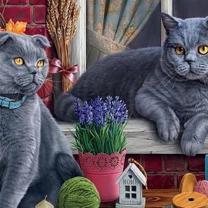 British Short Hair Cats Diamond Painting