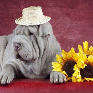 Bulldog Paint by Diamonds