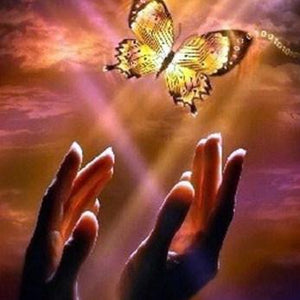 Butterfly Paint by Diamonds