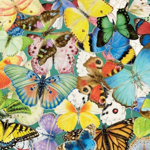 Butterfly Species Paint by Diamonds