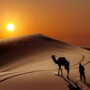 Camel DIY Diamond Painting