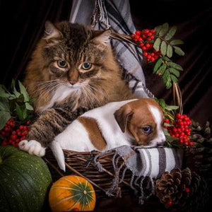 Cat & Cute Puppy Paint by Diamonds