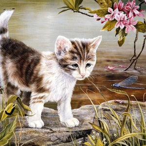 Cat & Dragon Fly Paint by Diamonds