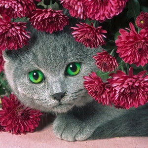 5D Cat Diamond Painting Kit