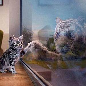 Cat as Tiger Paint by Diamonds