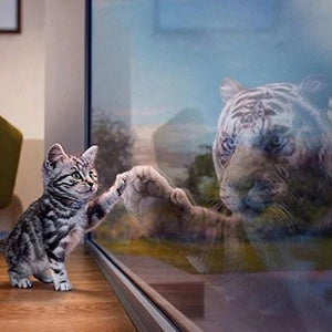 Cat & Tiger DIY Painting