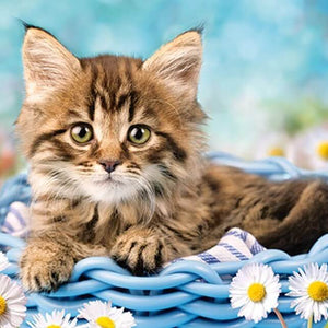 Kitten Diamond Painting Kit