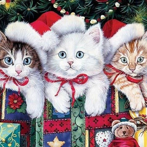 Cats Diamond Painting Kit