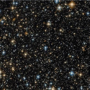 Celestial Sidekick Diamond Painting Kit