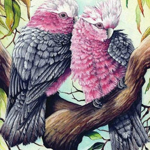 Cockatiel Pair Paint by Diamonds