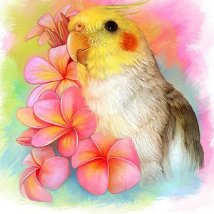 Parrot Paint by Diamonds