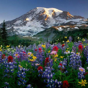 Colorful Flowers & Mountain View Diamond Painting